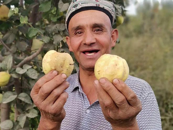 新疆一种古老水果硬如石头却香气四溢做甜品和手抓饭是一绝(图2)